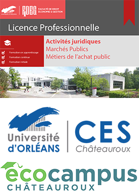 Licence Professionnelles Marchés Publics et Métiers de l'achat public.